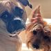 Pat Martindale - Facebook
