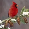 Patti Martindale-Pos - @pattiatty - TikTok