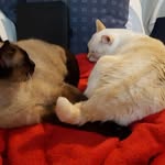 Pat Massingham - @massinghampat - Instagram