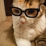 Patty Massingill - @pmassingill47 - Instagram