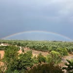 Pat Masters - @pdmasters56 - Instagram