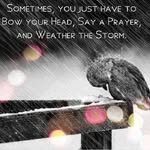 @pat.mathis.50596 - Instagram