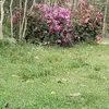 patmathis - @patmathis - TikTok
