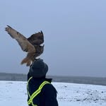 Patrick Mathison - @spontinatey - Instagram