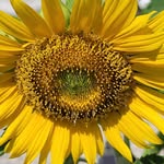 Pat Matlock - @uumatlock - Instagram