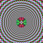 $$Patrick Matlock$$ - @patrickmatlock - Instagram