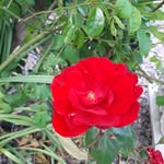Pat Matthews - @pat.matthews.184007 - Instagram