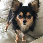 Pat A. Mayberry - @pata.mayberry - Instagram