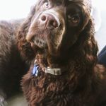 Pat Mayberry - @pat.mayberry.750 - Instagram