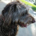 Pat Mayberry - @pat.mayberry.75 - Instagram