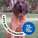 Pat Mayer - @pat.mayer.169 - Instagram