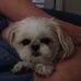 Pat Mayes - Facebook
