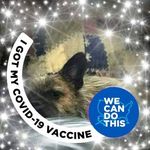 Pat Maynard - @pat.maynard.98892 - Instagram