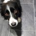 Pat Mayne - Facebook