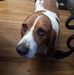 Pat Mays - Facebook