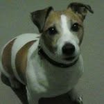 Pat Mayson - @patmayson - Instagram