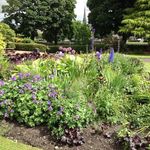 Pat Mcbride - @mcbride8245 - Instagram