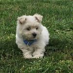 Pat Singley McCafferty - @patsingley - Instagram