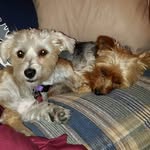 Pat McCain Kruger - @pat.kruger - Instagram