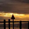 patrick.mccandless5 - @patrick.mccandless5 - TikTok