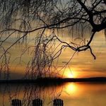 Patty Mccandless-mcclanahan - @mistyblu1956 - Instagram