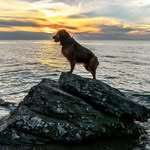 Pat McCarron - @mccarron1961 - Instagram