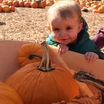 Pat Mccormack - @pat.mccormack2 - Instagram