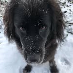 Pat McCormack - @pat.mccormack.311 - Instagram