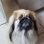 Pat Mccormack - @pat.mccormack.92 - Instagram