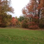 Pat McCormack - @pat.mccormack.773 - Instagram
