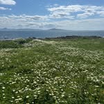 Pat McCorry - @mccorrypat - Instagram