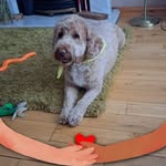 Patricia Gibson - @patricia.mccorry.10 - Instagram