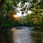 Pat Mccraw - @pat.mccraw.7 - Instagram