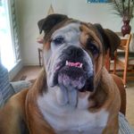 Pat  Mcdevitt - @mcdevitt054 - Instagram