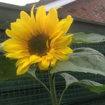 Pat Mc Devitt - @pat.mcdevitt.37 - Instagram