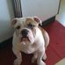 Patrick Mcdevitt - Facebook
