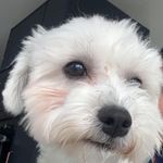Pat McElroy - @mcelroy3794 - Instagram