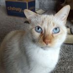 Pat McElroy-Komppa - @mcelroykomppa - Instagram
