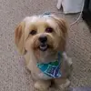 Patti McElroy - @bunny51538 - TikTok
