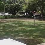 Pat Mcgarry - @pat.mcgarry.9469 - Instagram
