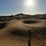 Pat - @pat.mcgarry.505 - Instagram