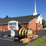 Pat McGehee Petrie - @pat.petrie.3 - Instagram