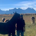 Patrick Mcglone - @freight_trained - Instagram