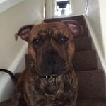 Pat Mcgovern - @mcgovern_pat - Instagram
