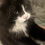 Pat Mckee - @mckee_pat - Instagram
