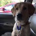 Pat Mckee - Facebook