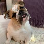 @patty_carlini_mclachlan - Instagram