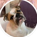 Patty Carlini McLachlan - @patty_carlini__mclachlan - Instagram