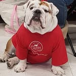 Patty McLachlan - @pmcl1951 - Instagram