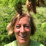 Pat McLean - @patmclean - Instagram